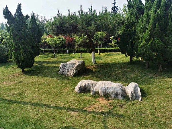 草坪石